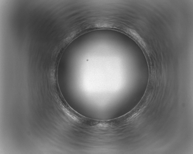 X0000075410441200609251048