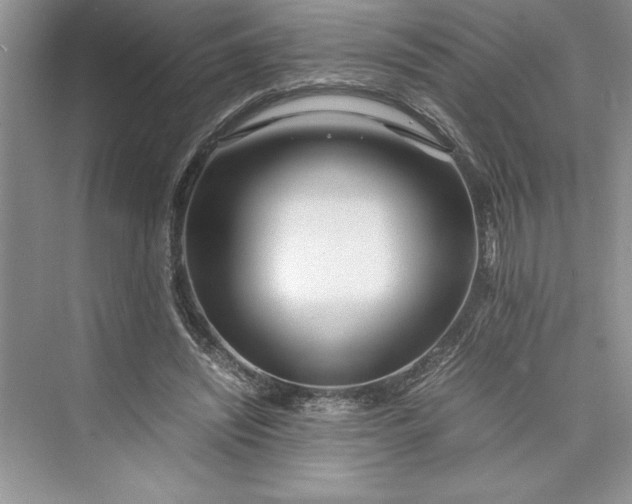 X0000075410444200609251048