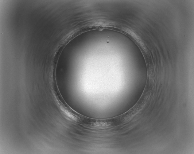 X0000075410445200609251048