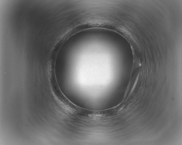 X0000075410448200609251049