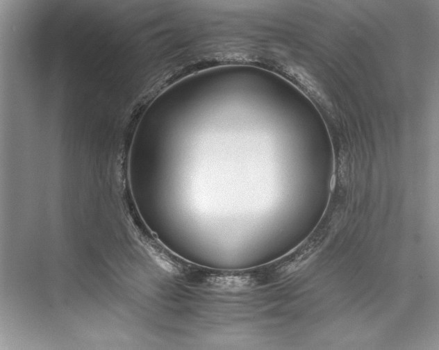 X0000075410449200609251049