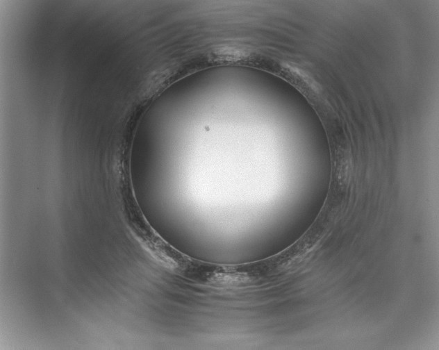 X0000075410455200609251049