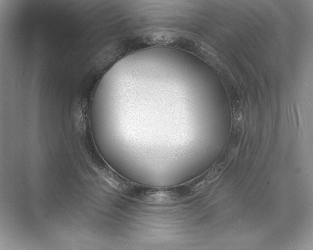 X0000075410460200609251049