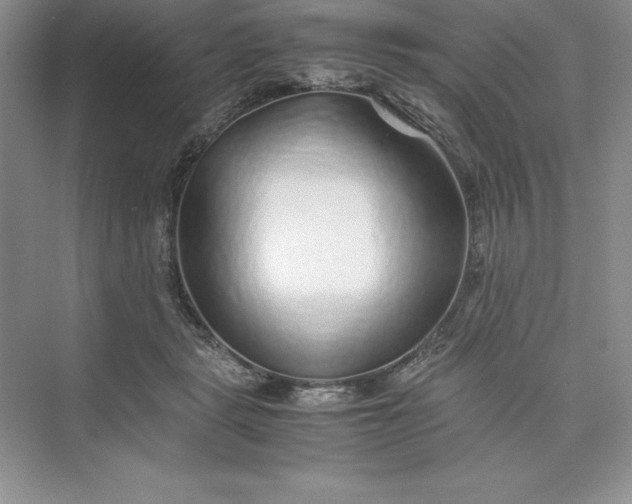 X0000075410461200609251049