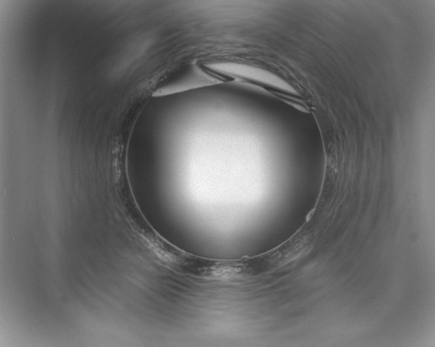 X0000075410462200609251049