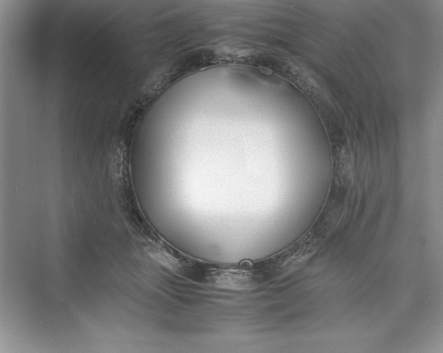 X0000075410463200609251049