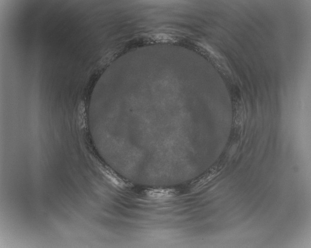 X0000075410465200609251049