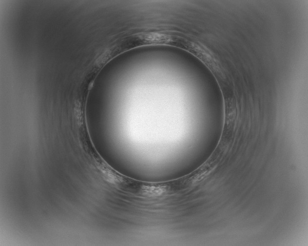 X0000075410469200609251049