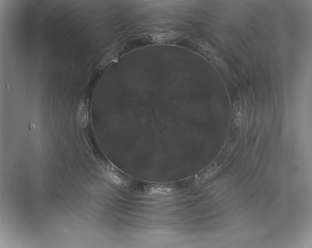 X0000075410471200609251049