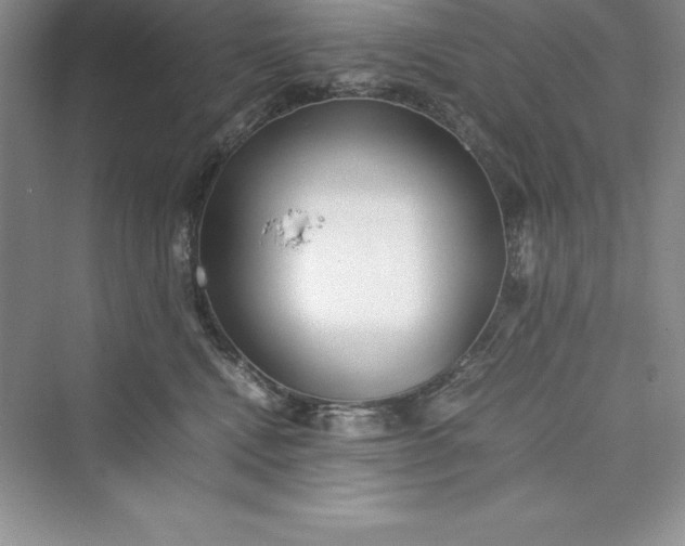 X0000075410472200609251049