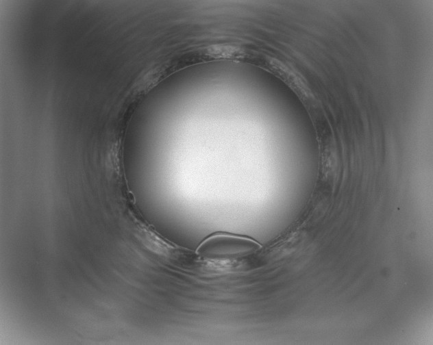 X0000075410473200609251049