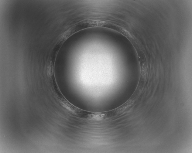 X0000075410474200609251049