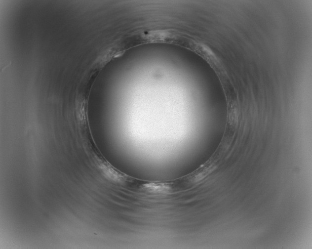 X0000075410477200609251049