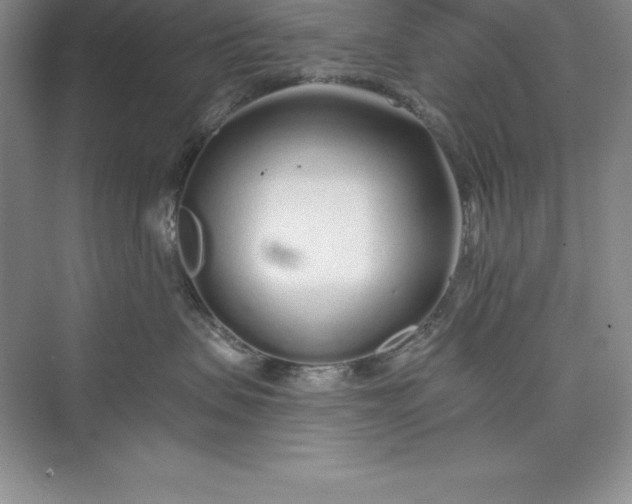 X0000075410479200609251049