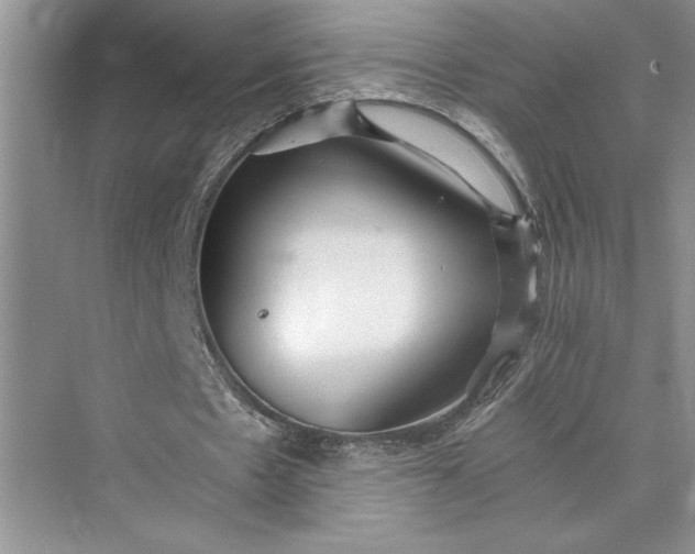 X0000075410481200609251048