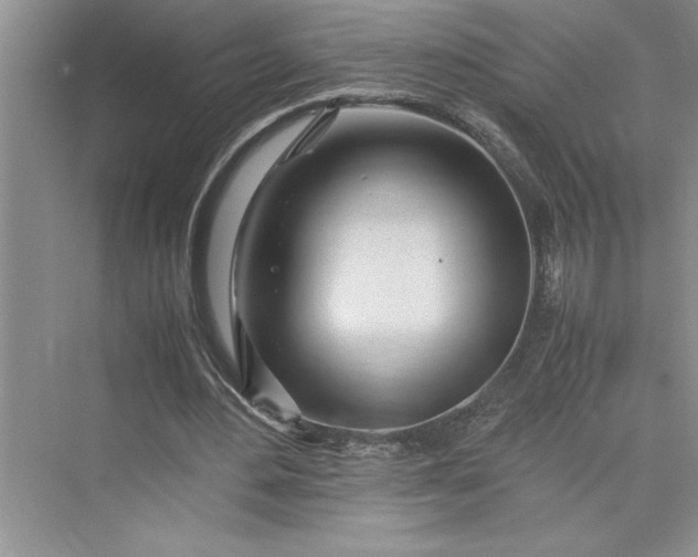 X0000075410484200609251048