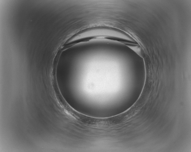 X0000075410485200609251048