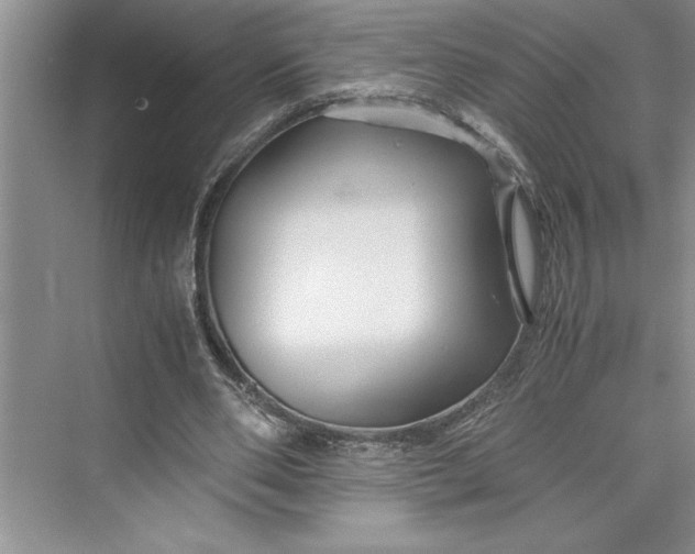 X0000075410486200609251048