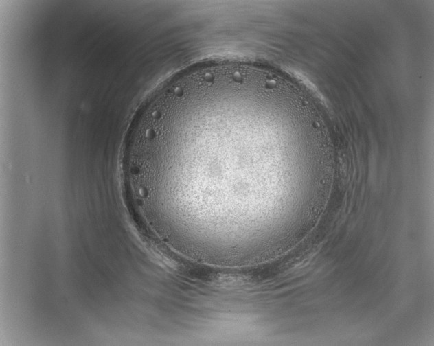 X0000075410487200609251048