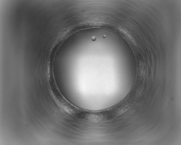 X0000075410494200609251048