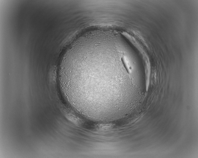 X0000075410495200609251048