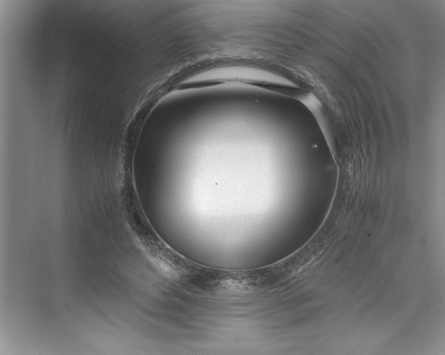 X0000075410496200609251048