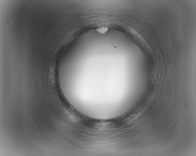 X0000075410497200609251048