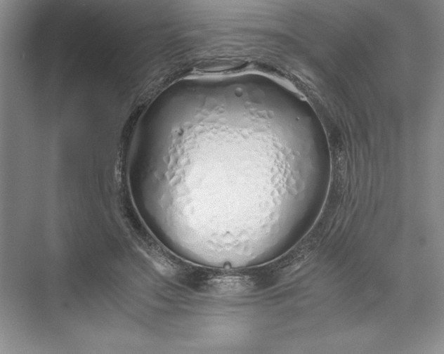 X0000075410499200609251048