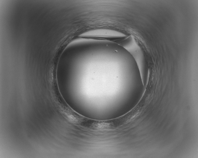 X0000075410501200609251048