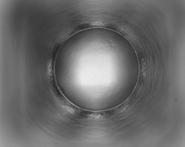 X0000075410502200609251048