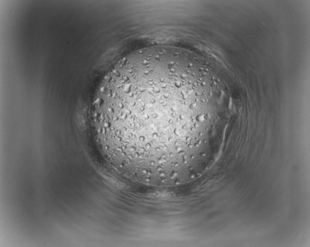 X0000075410503200609251048