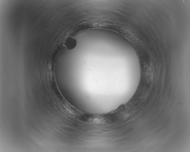 X0000075410506200609251048