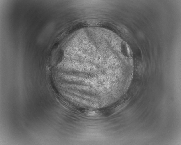 X0000075410507200609251048