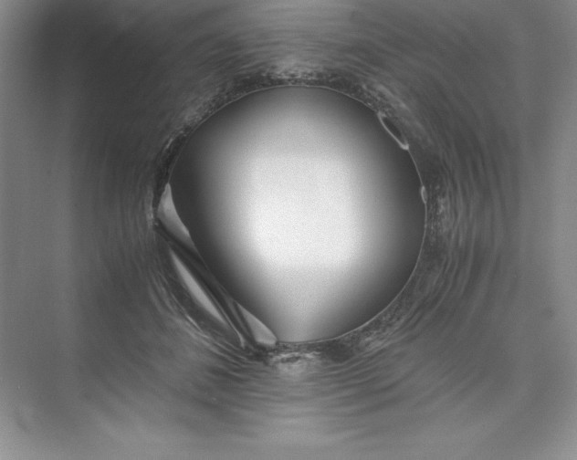 X0000075410508200609251048