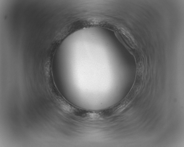 X0000075410509200609251048