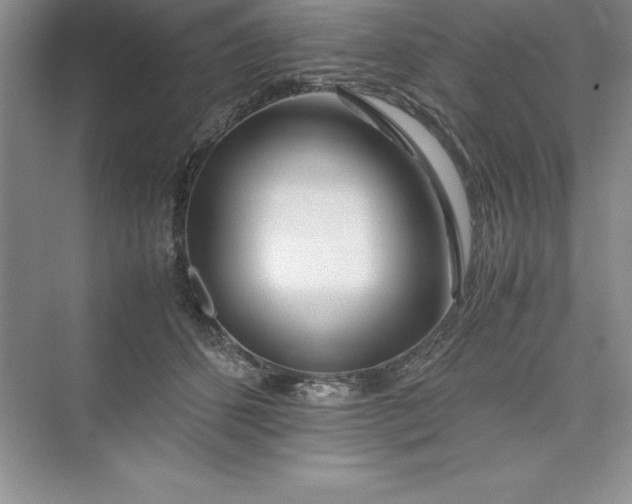 X0000075410512200609251048