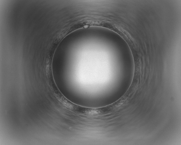 X0000075410513200609251048