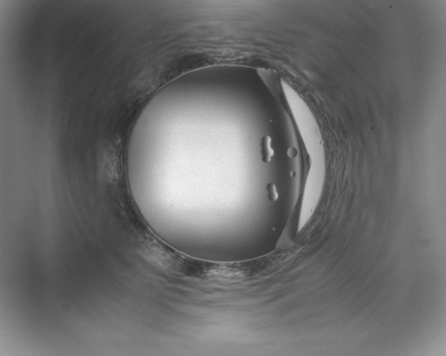 X0000075410515200609251048