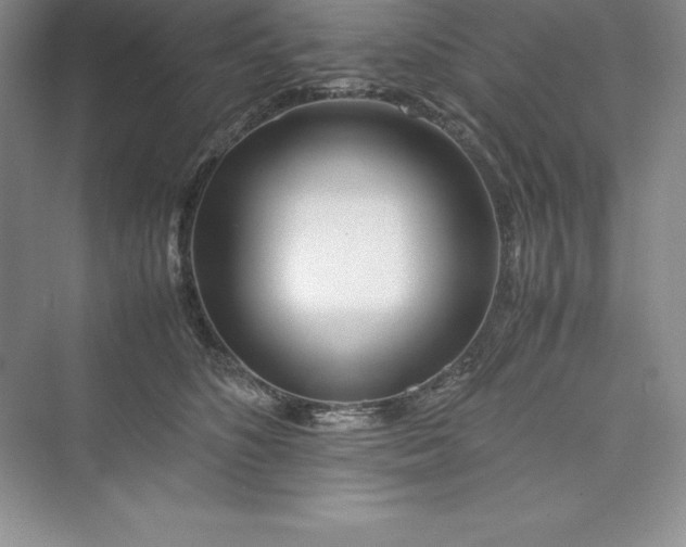 X0000075410516200609251048