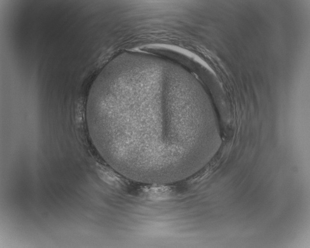 X0000075410517200609251048