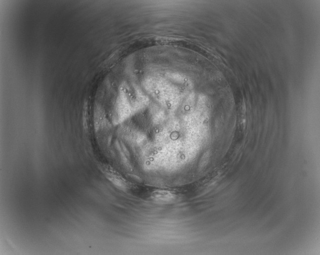 X0000075410519200609251048