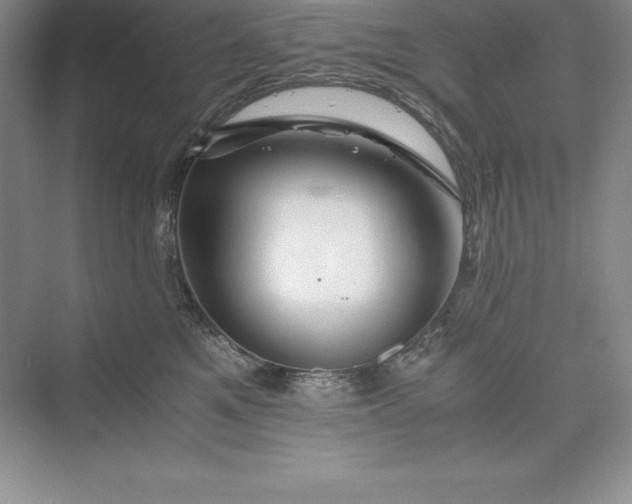 X0000075410521200609251048