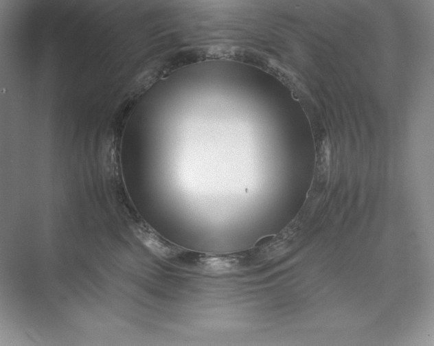 X0000075410522200609251048