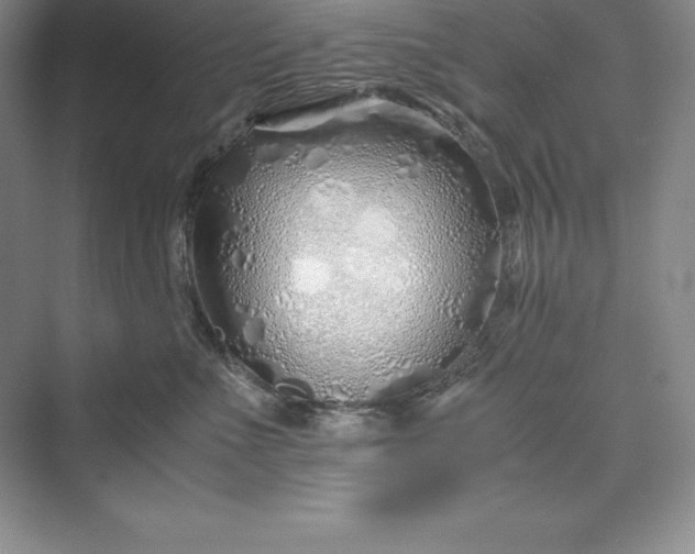 X0000075410523200609251048