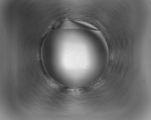 X0000075410524200609251048