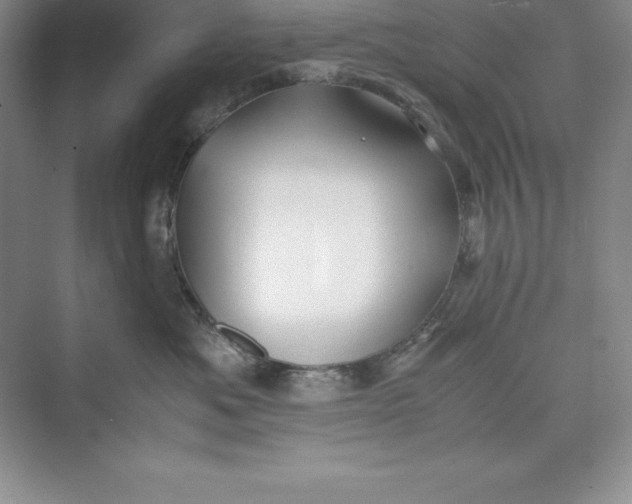 X0000075410525200609251048