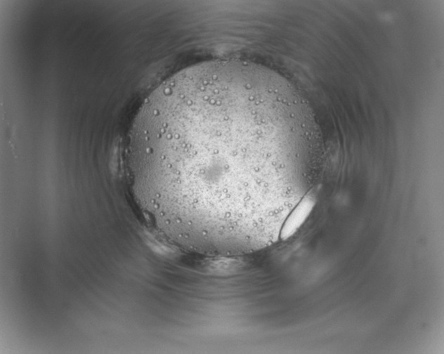 X0000075410527200609251047