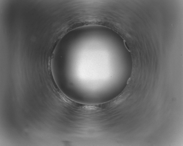 X0000075410528200609251047