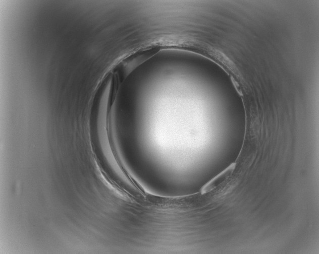 X0000075410530200609251047