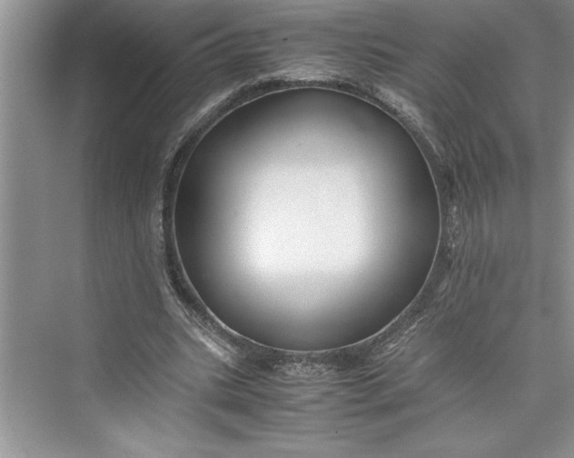 X0000075410535200609251047